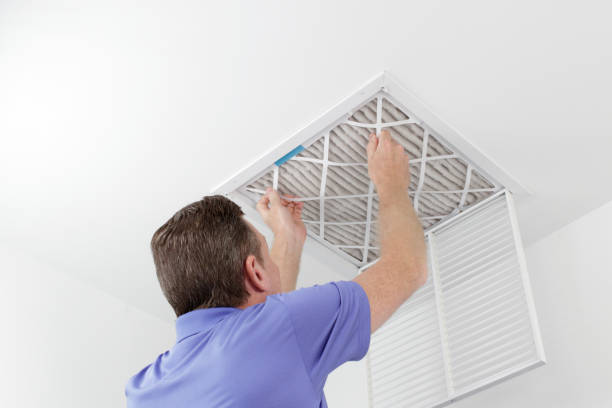 Air Duct Mold Removal in Springfield, NJ